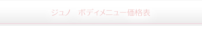 ニキビ 料金